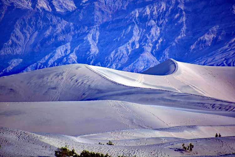 sand dunes